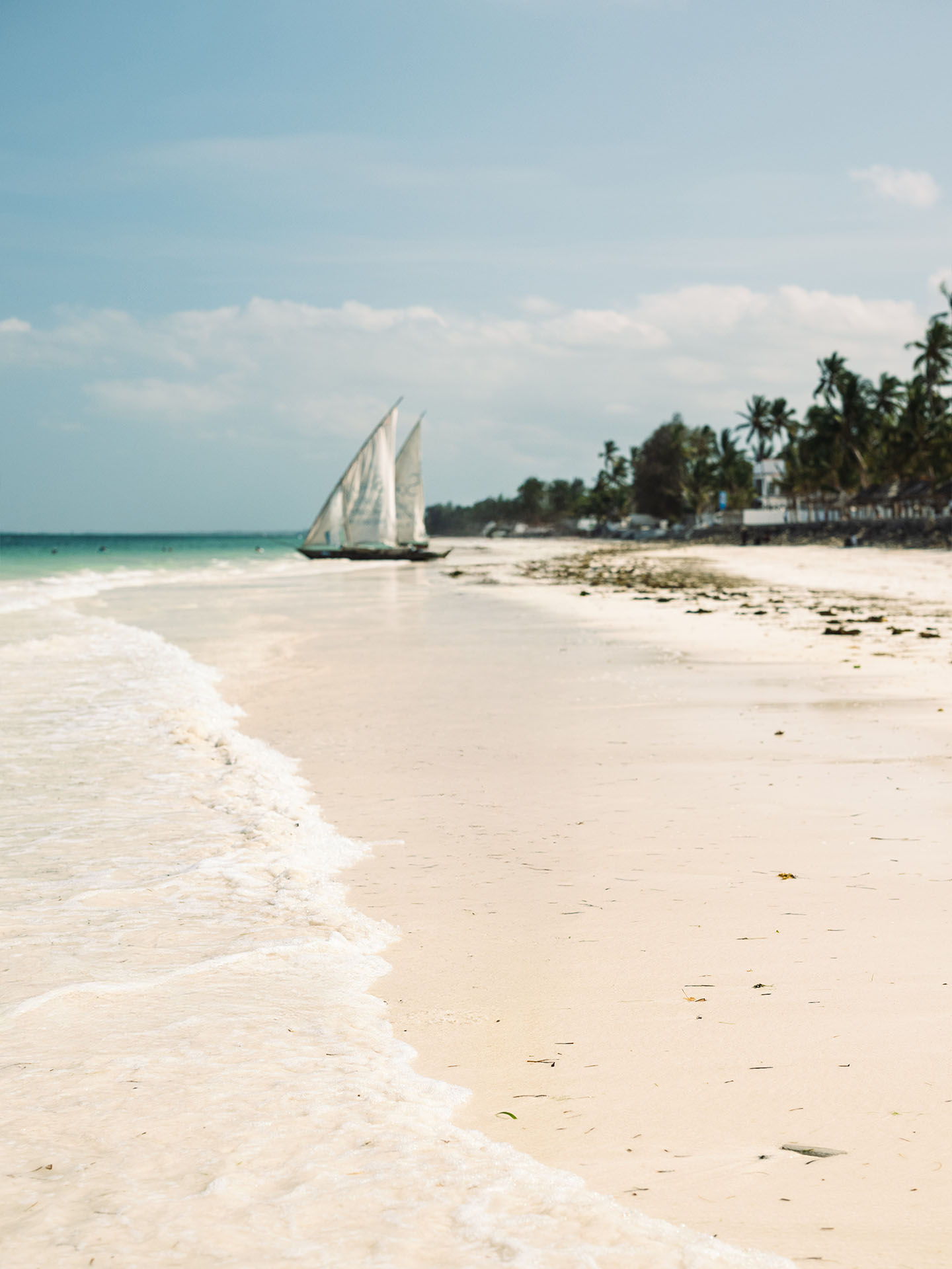 Image - 5a903c81-e3f6-48de-8dbc-5e0839dd1686